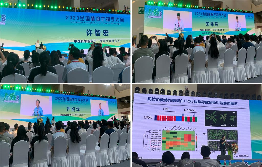 银河welcome娱乐网站教师参加2023全国植物生物学大会